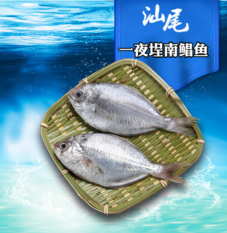 老德头正宗汕尾特产 野生淡咸南鲳鱼平鱼扁鱼500g