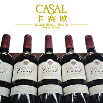 CASAL卡赛欧200428