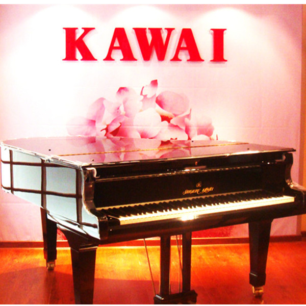 kawai(卡瓦依)sk-2