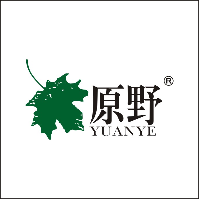 原野花艺高端轻奢北美冬青仿真花客厅落地塑料花假花室内摆设装饰