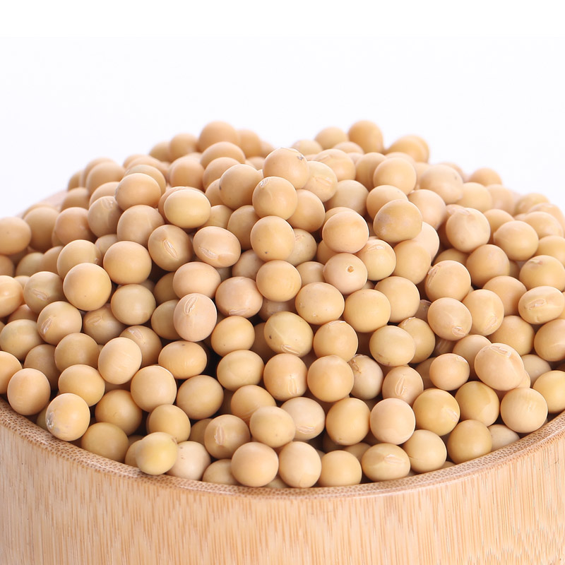 想真有机黄大豆浆专用农家 黄豆子非转基因新货豆类五谷杂粮优质