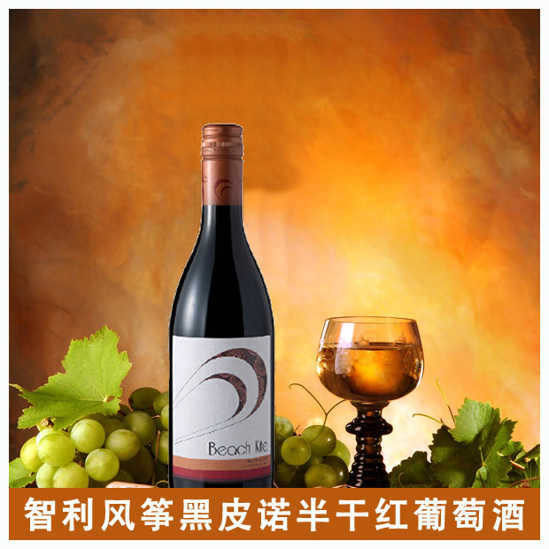 【热卖】智利风筝黑皮诺半干红葡萄酒