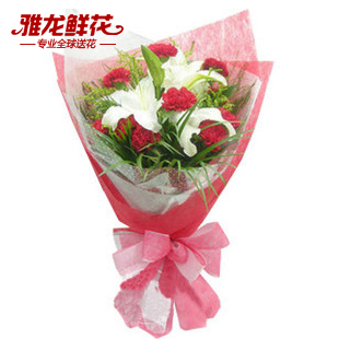 雅龙鲜花速递康乃馨百合花束郑州青岛南京苏州北京花店送花烟台