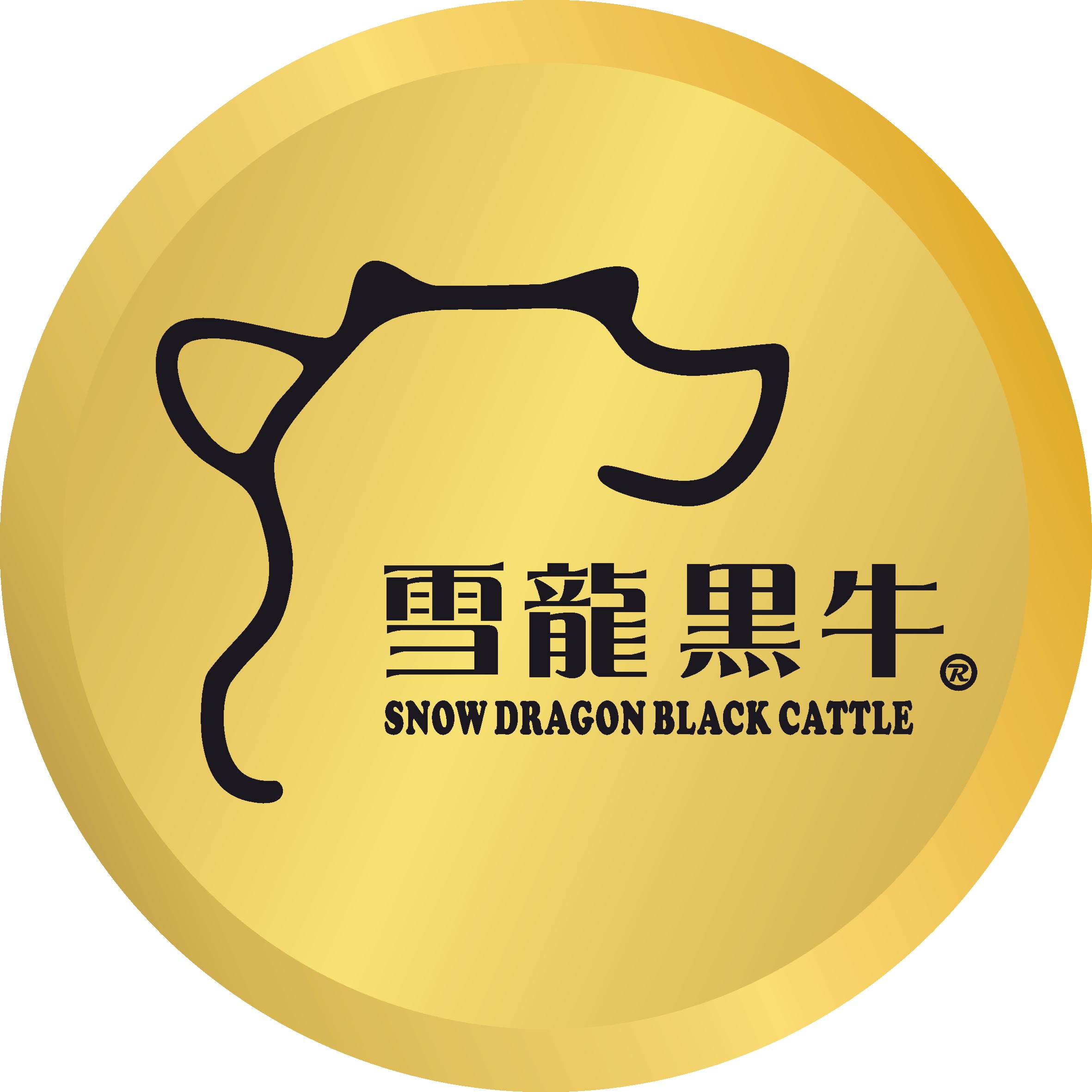 雪龙黑牛旗舰店170721