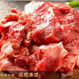 a16 科尔沁新鲜牛肉 分割1000g 内蒙古牛肉冷冻生鲜牛肉