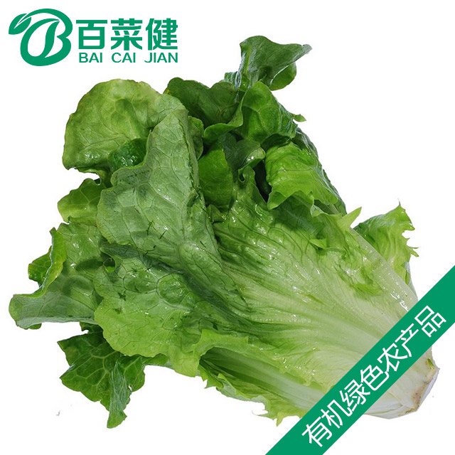 百菜健有机生菜(又称鹅仔菜,莴仔菜)