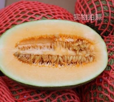 丝路晓蜜瓜