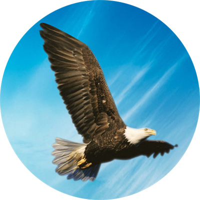 滦县滦英网络商城200428