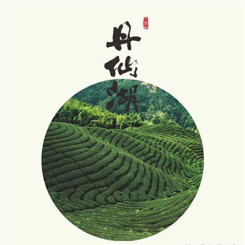 丹仙湖茶业181110