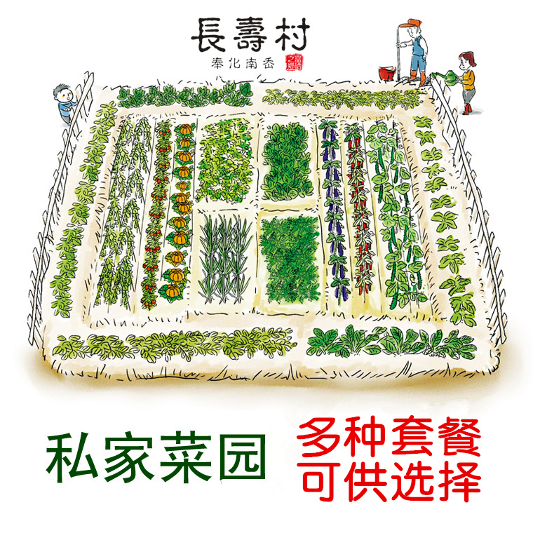 长寿村 私家菜园 土地认养 多套餐 家庭蔬菜宅配
