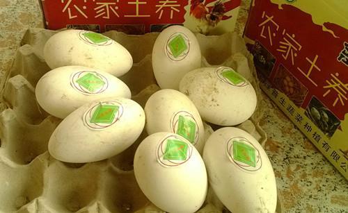 زʵ ز쵰 500g