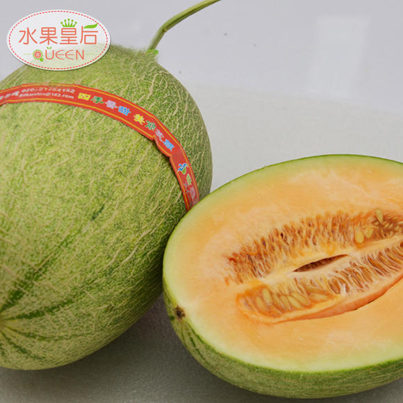 海南特产丝路晓蜜瓜一个3斤左右(30元/1个)