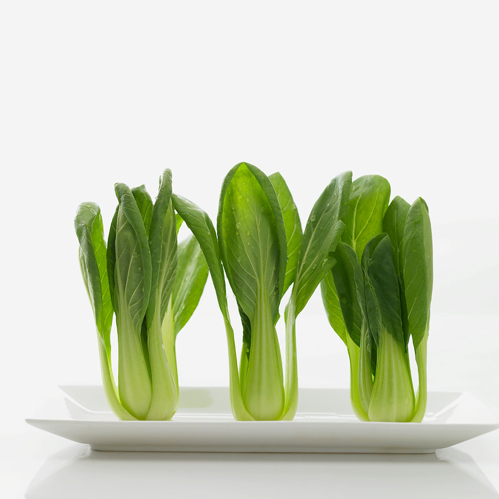 上海青苗图片,小青苗图片,上海图片(第21页)_大山谷图库