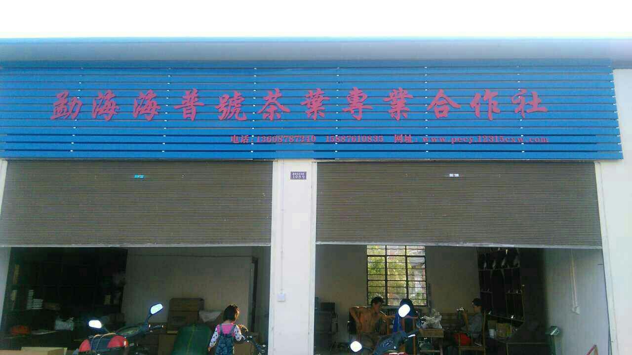 勐海支达号茶叶专业合作社200508
