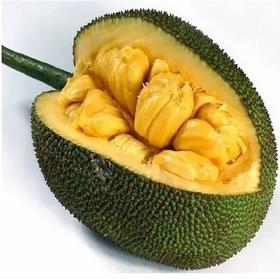**"Delectable Jackfruit Delights: Exploring Unique Recipes to Savor Nature's Sweet Bounty"**