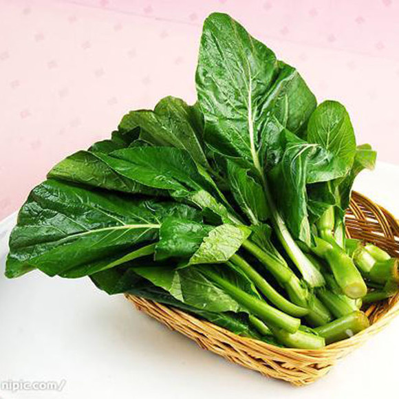 广东菜心 - 南京众彩新鲜食材批发配送图片