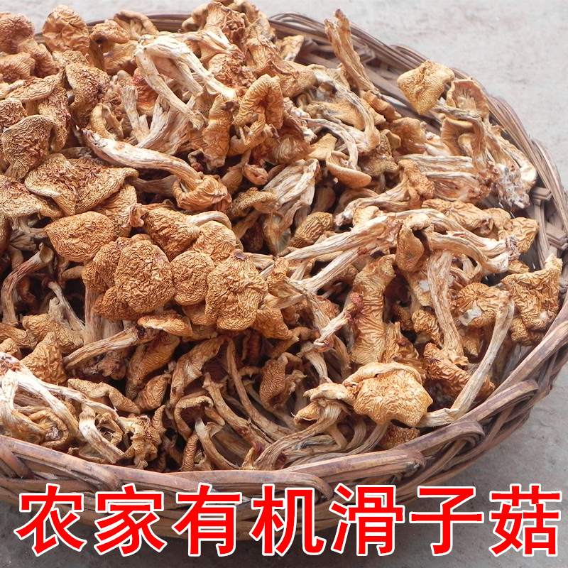 河南土特产茶树菇干货榛蘑农副产品珍珠菇滑子蘑菇山野菜山货滑菇