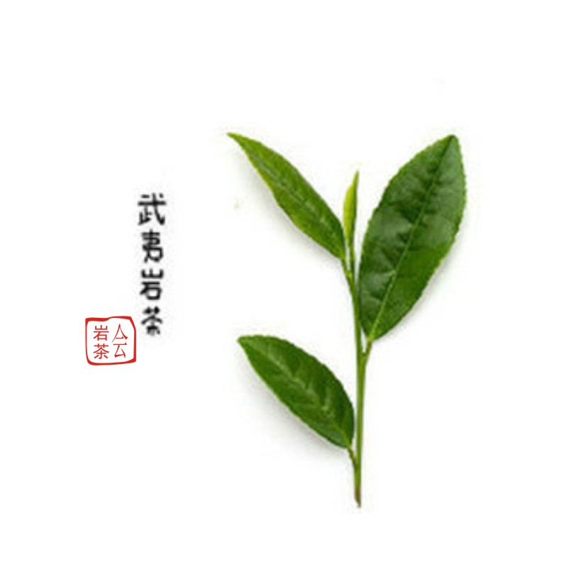 岩茶会