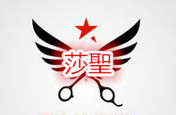 莎聖美容美发用品有限公司200428