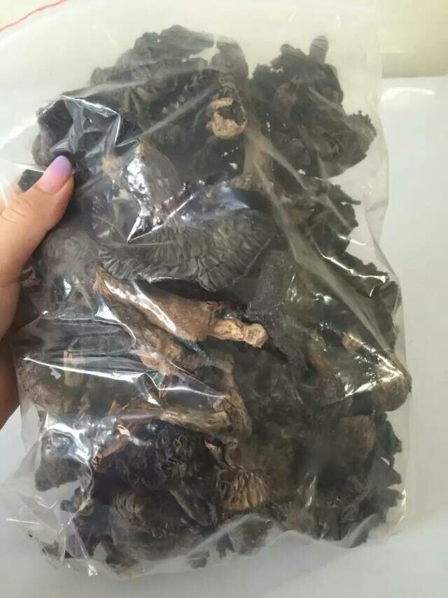 碳菇