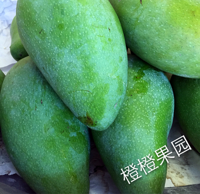 泰国绿芒果