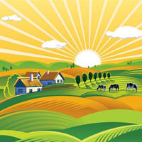 一村一品汇200508