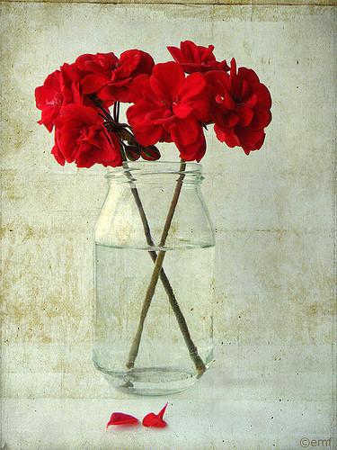 福贵堂滋补品旗舰店200509