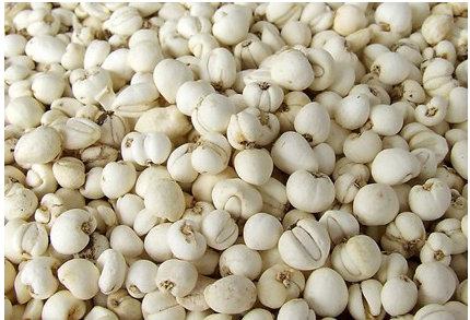 商品详情【营养功效】由于川贝母不仅具有良好的止咳化痰功效,而且