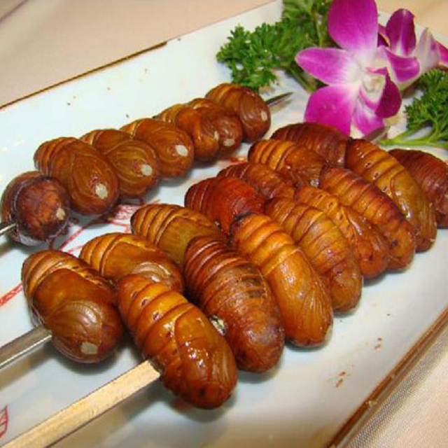 蚕蛹