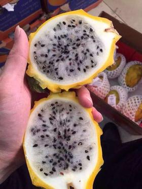 燕窝果