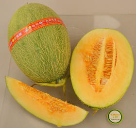 ۹500g