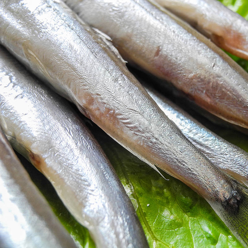 獐子岛进口冰岛多春鱼1280g约64条 新鲜满籽野生冷冻海鲜鱼类包邮