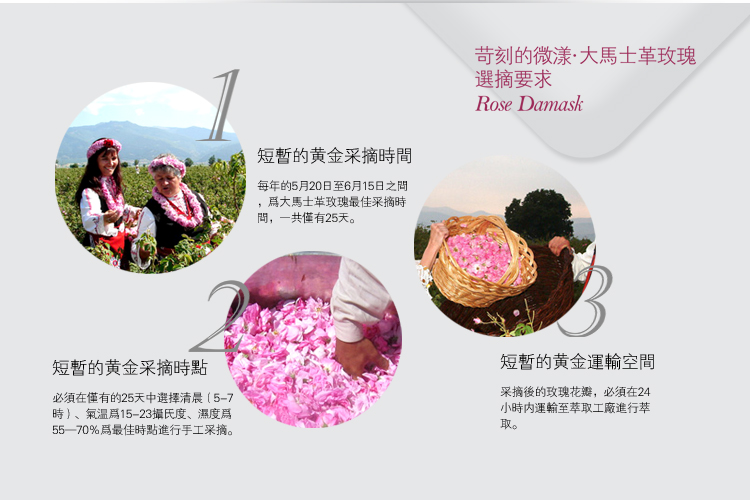 TB2Jw2rdpXXXXXiXpXXXXXXXXXX_!!177433481.