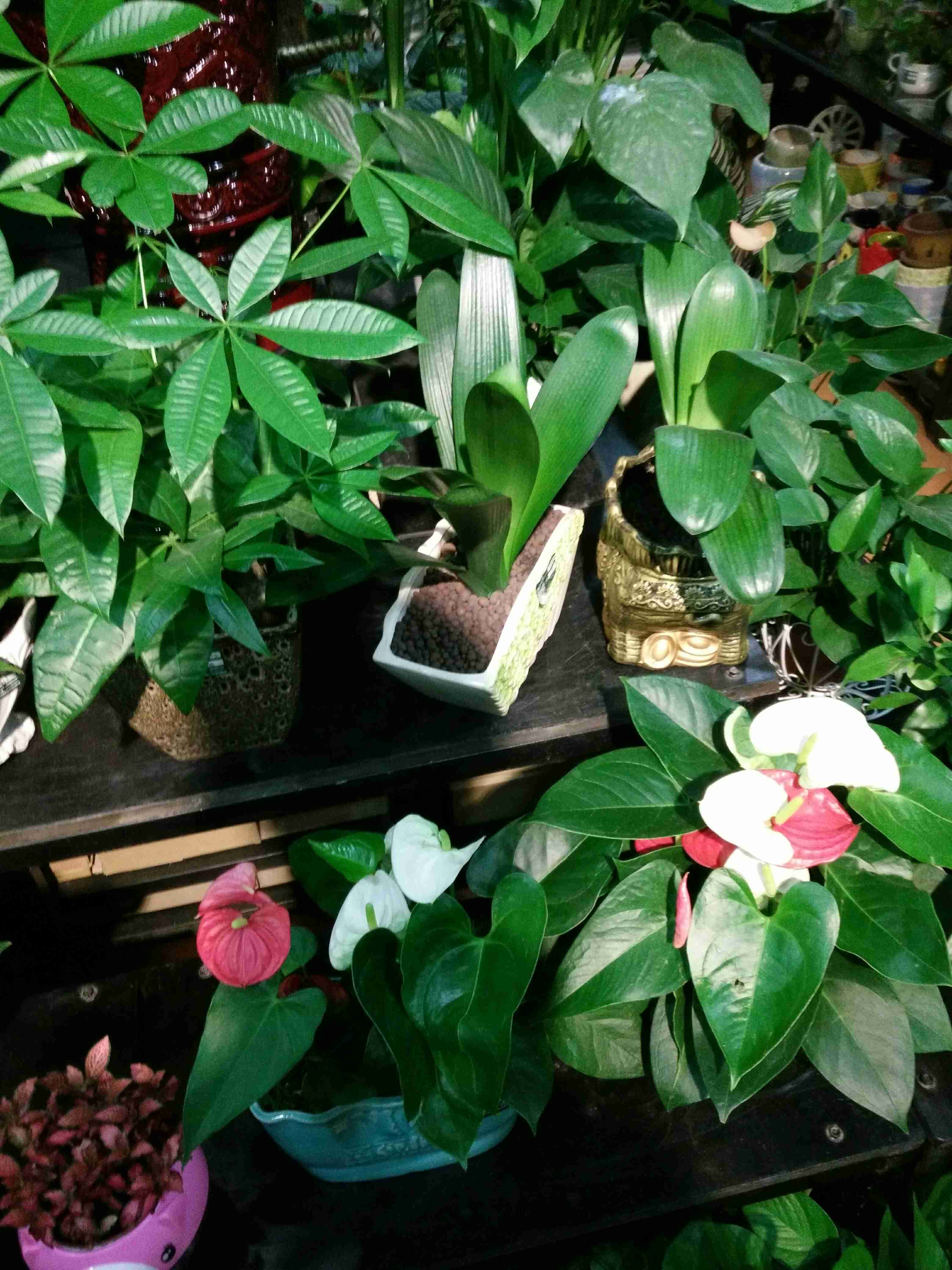 沁园春天空花园180404