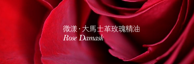 TB2f6PpdpXXXXXUXpXXXXXXXXXX_!!177433481.