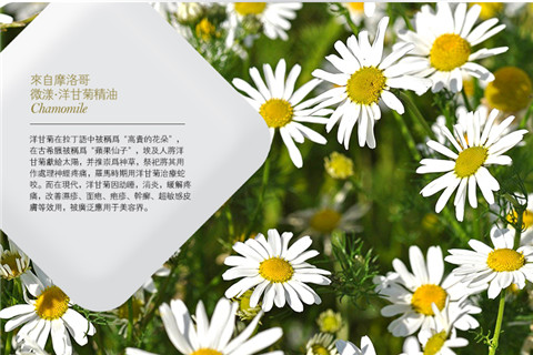 TB2tQTEdpXXXXaeXXXXXXXXXXXX_!!177433481.