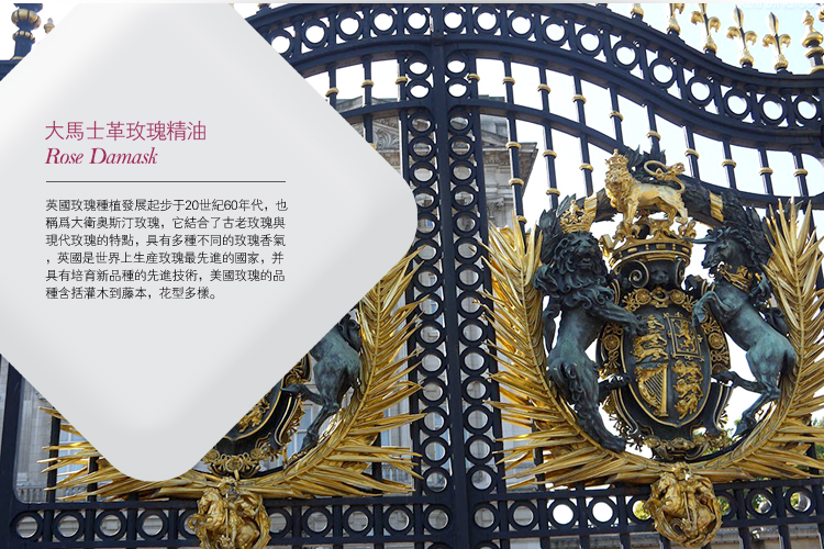 TB2P8fhdpXXXXbuXpXXXXXXXXXX_!!177433481.