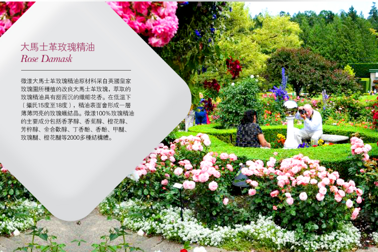 TB2NKPxdpXXXXbNXXXXXXXXXXXX_!!177433481.