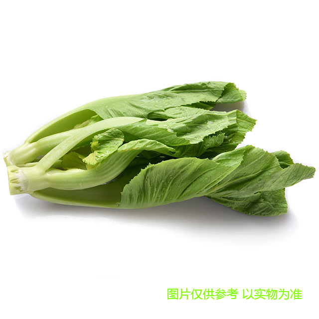 芥菜