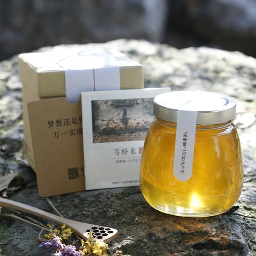 等蜂来蜂蜜 | 陕西凤县野山花蜜 商品图3