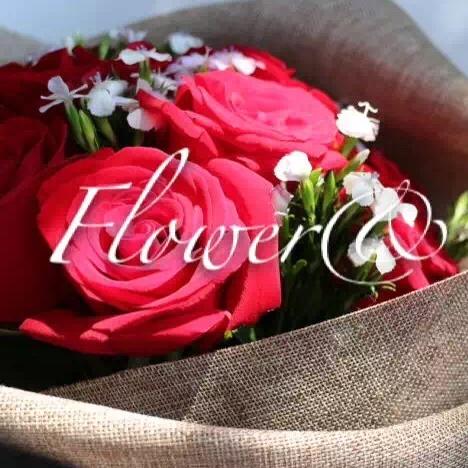 喵小姐的花180404