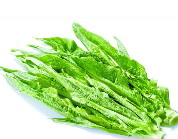 牛俐生菜,属菊科,是以嫩梢,嫩叶为产品的尖叶型叶用莴笋的一种