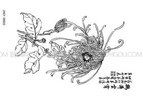 果酱画模具  正辉魔法转印布ZHZY00022