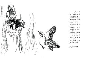 果酱画模具  正辉魔法转印布ZHZY00028