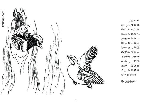 果酱画模具  正辉魔法转印布ZHZY00028 商品图0