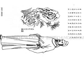 果酱画模具 转印布 正辉魔法转印布ZHZY00026
