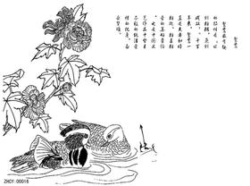 100%高清转印布  正辉魔法转印布ZHZY00016