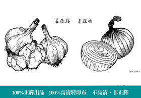 果酱画模具  正辉魔法转印布ZHZY00043