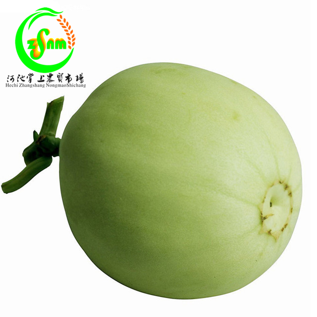 白瓜
