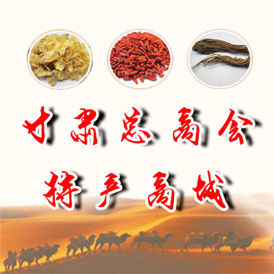 甘肃总商会特产商城200509